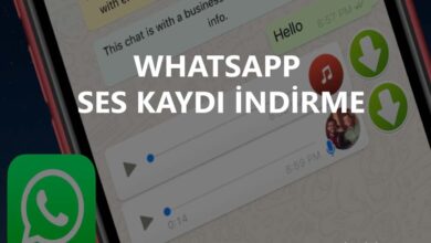 Whatsapp Ses Kaydı İndirme