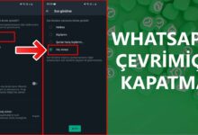 Whatsapp Çevrimiçi Kapatma