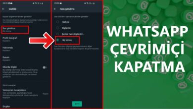 Whatsapp Çevrimiçi Kapatma