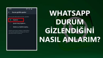 Whatsapp Durum Gizlendiğini Nasıl Anlarım