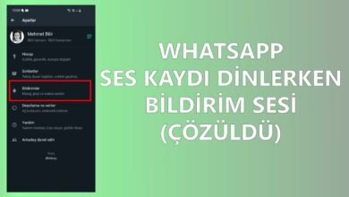 Whatsapp Ses Kaydı Dinlerken Bildirim Sesi