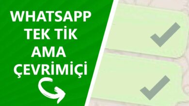 Whatsapp Tek Tik Ama Çevrimiçi