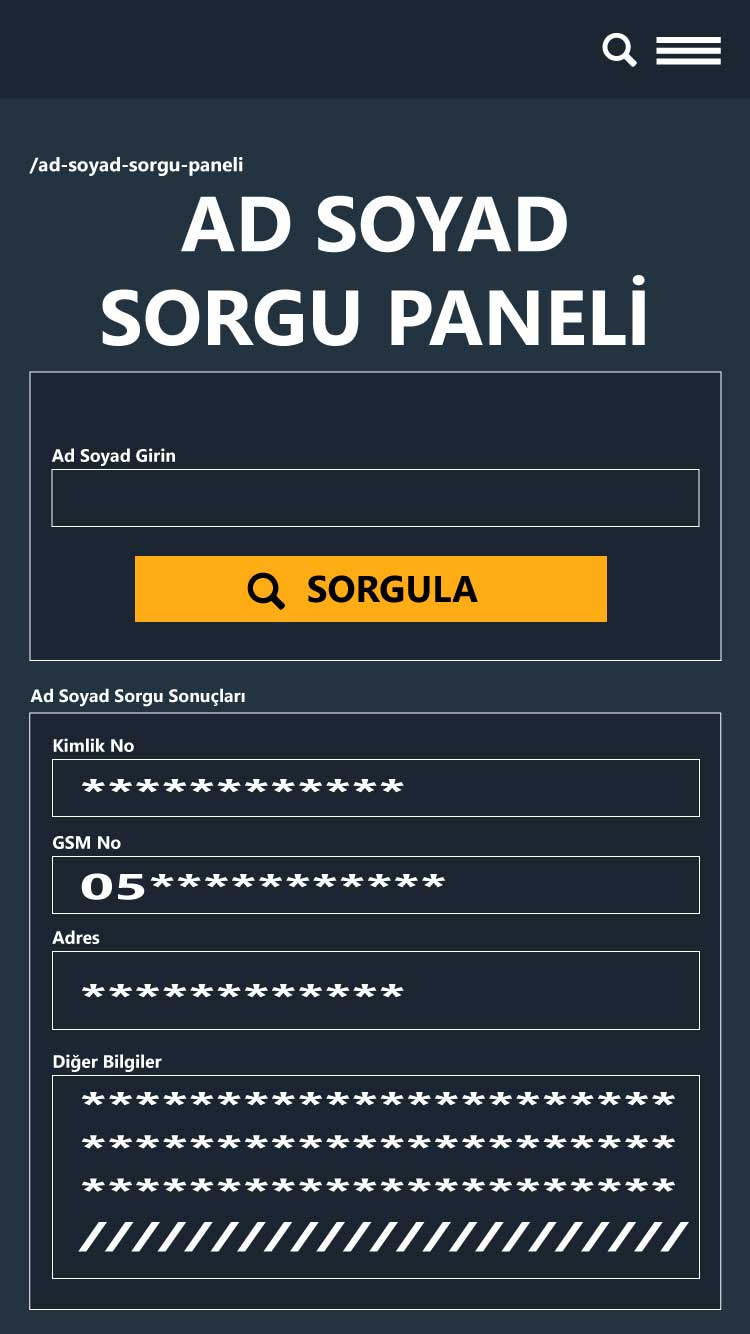 Ad Soyad Sorgu Paneli