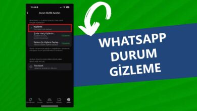 Whatsapp Durum Gizleme